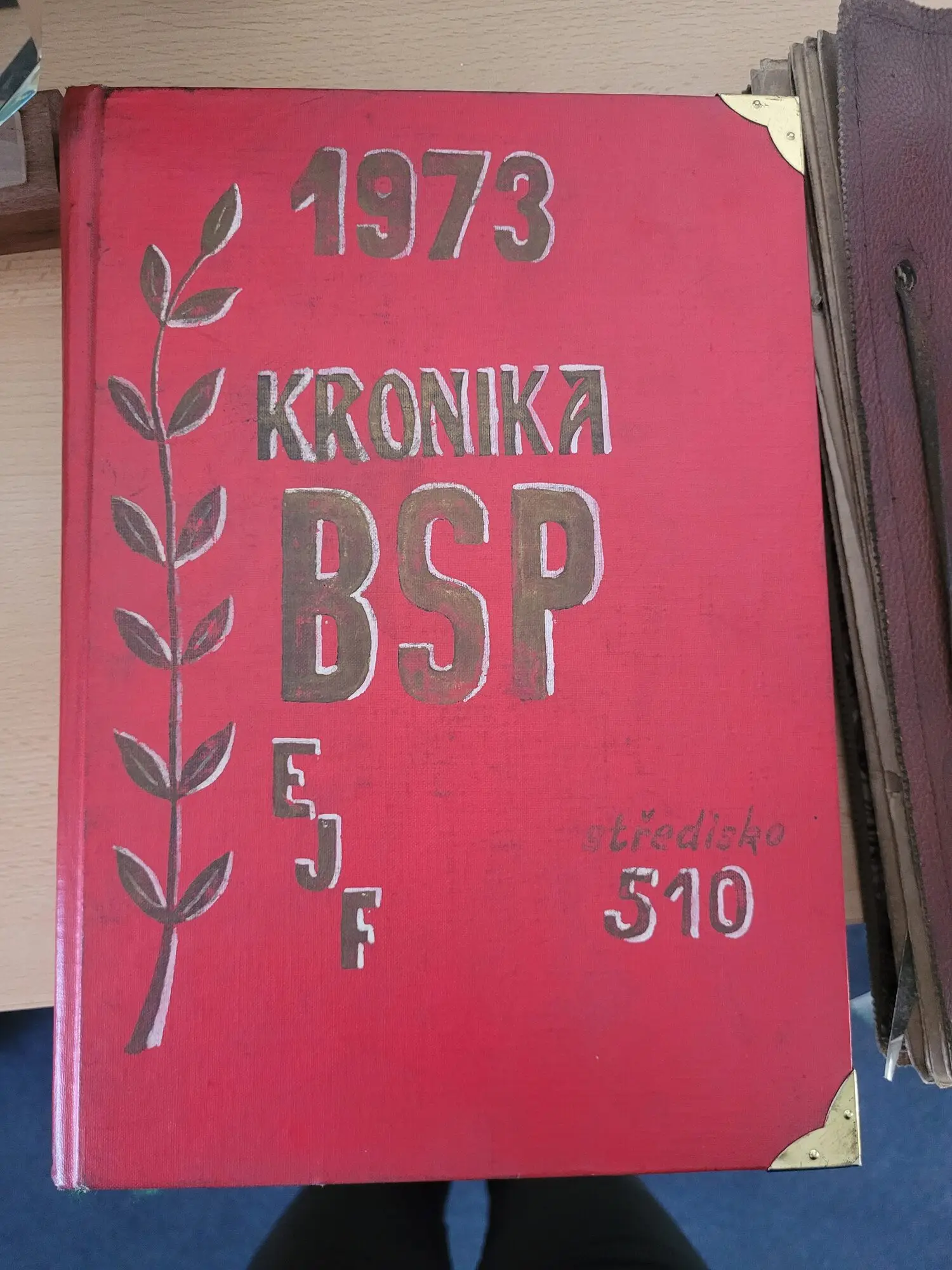 Kronika BSP z roku 1973